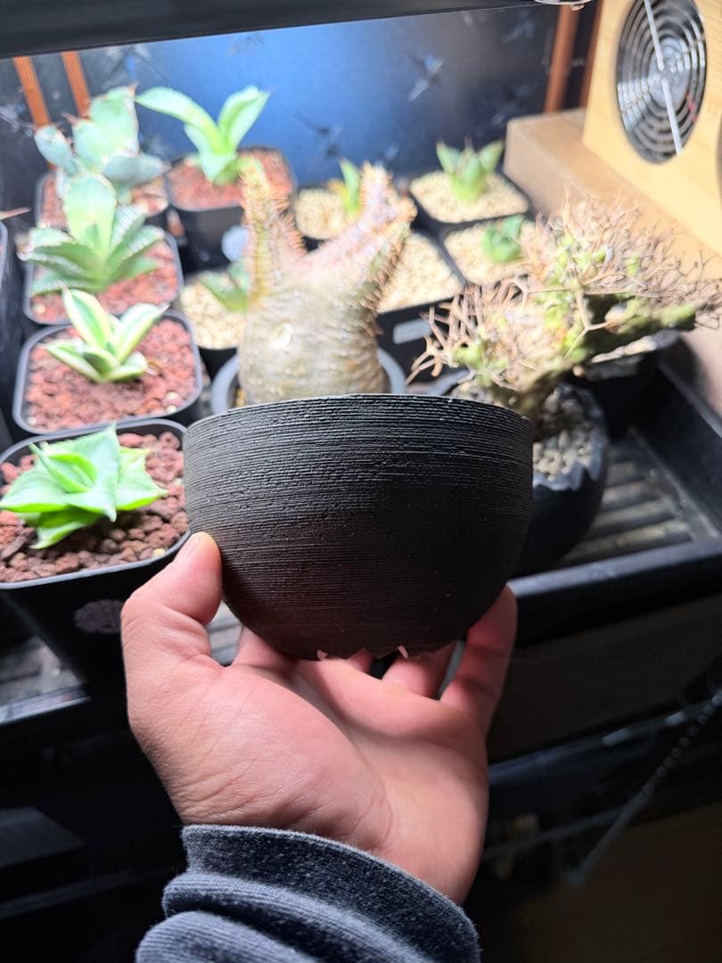 陶器鉢 作家鉢　インビシブルインク