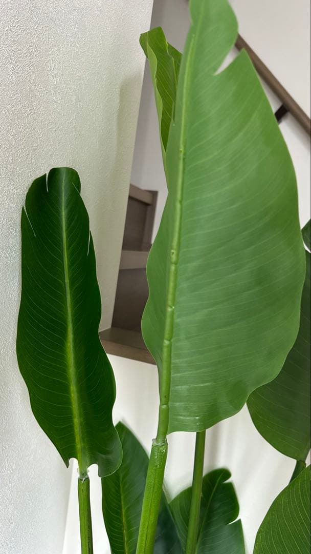 大型 フェイクグリーン 観葉植物風 鉢付き インテリア