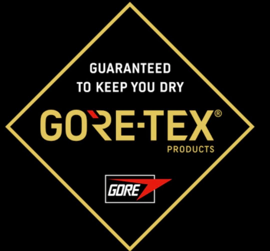 ジャケット・アウター THE NORTH FACE GORE-TEX Mountain Jacket