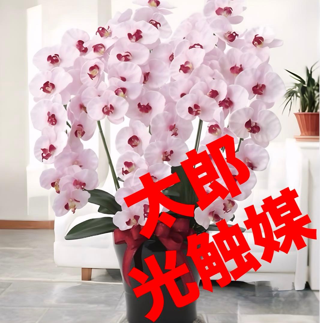 光触媒　人工観葉植物　フェイクグリーン　プレミアム胡蝶蘭5本立P