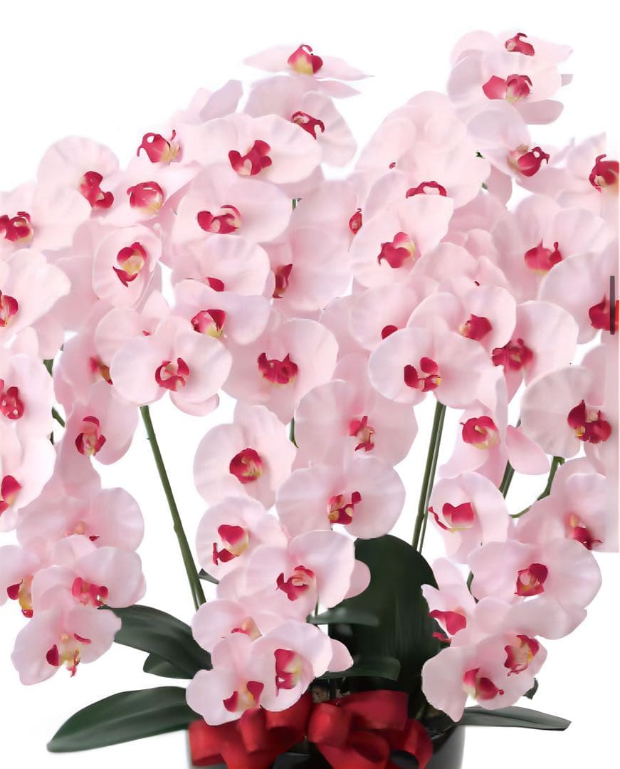 光触媒　人工観葉植物　フェイクグリーン　プレミアム胡蝶蘭5本立P