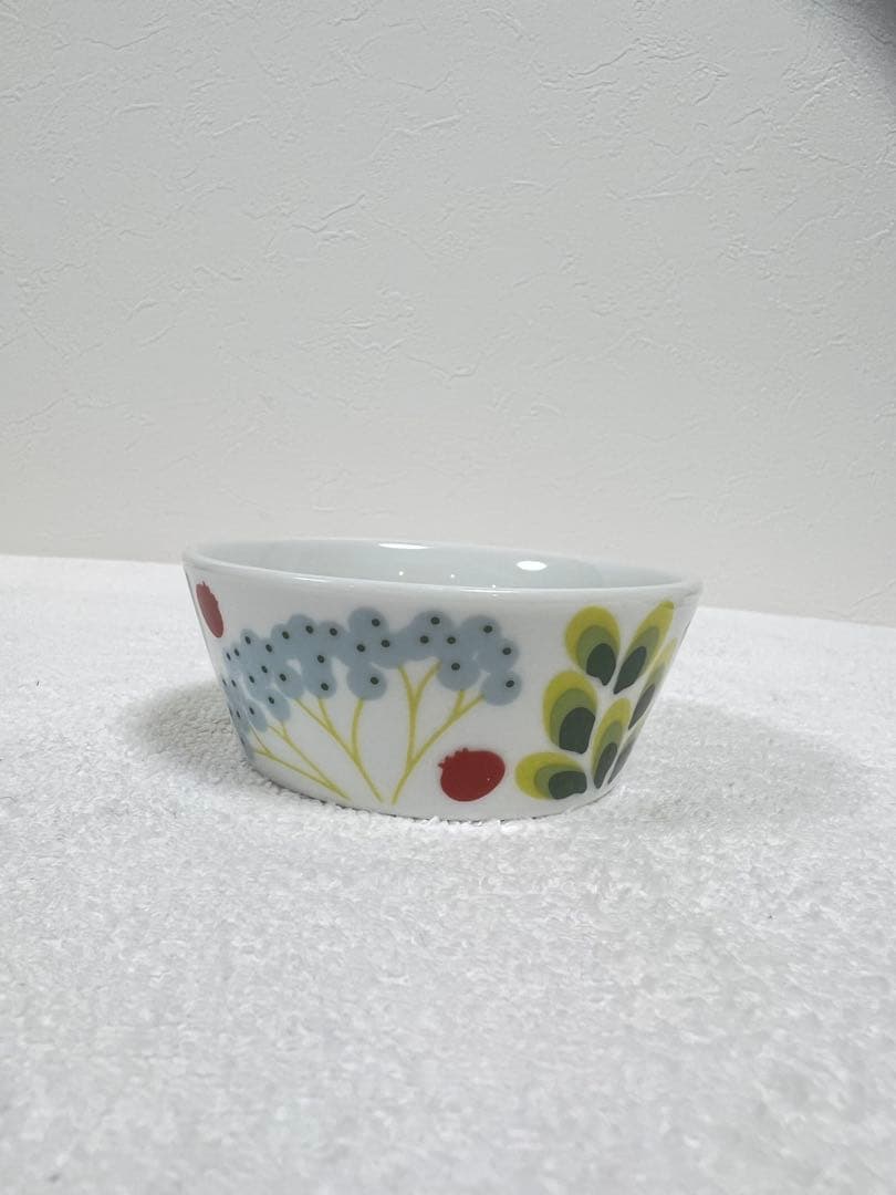 ローストランド クリナラ カラフル植物デザイン 食器セット