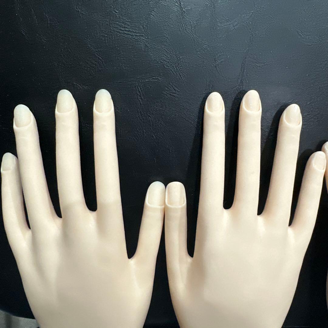 【さち】ネイル検定 STモデルハンド 認定講師試験 まとめ売り