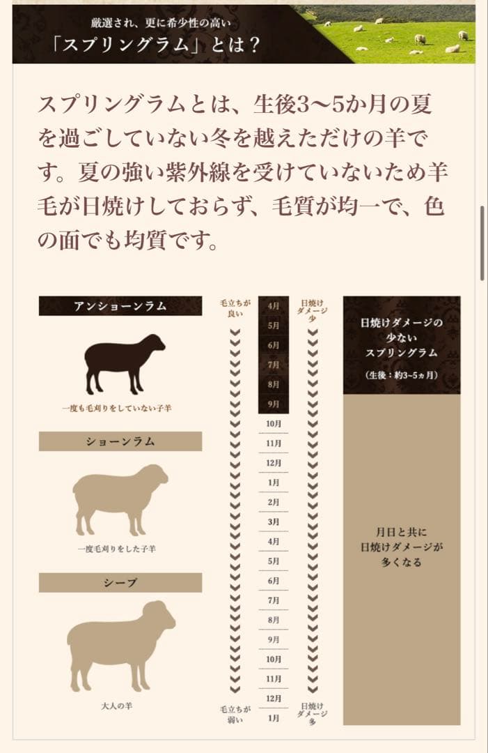 未使用　東洋羽毛 ムートン 敷きパッド アリエス40 アンティークローズ タグ