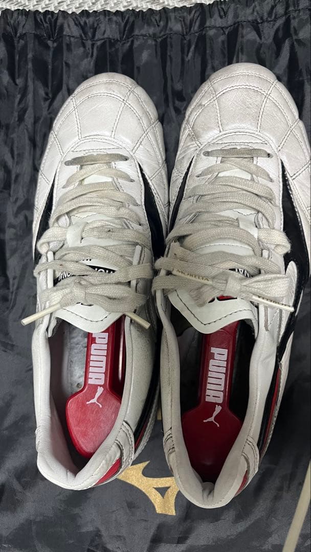 MIZUNO モレリアII JAPAN /クロスステッチ/25cm（専用）