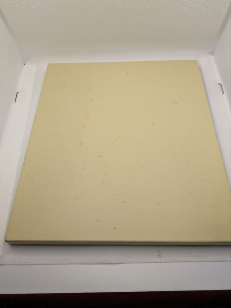 1999年9月9日記念 記念メダルと記念カバーの特別セット