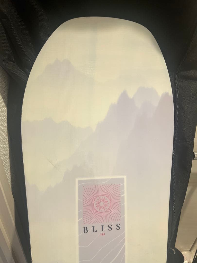 サロモン板　確認用