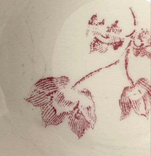 希少　美品　サルグミンヌ　カップ&ソーサー　フランスアンティーク