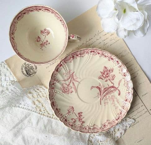 希少　美品　サルグミンヌ　カップ&ソーサー　フランスアンティーク