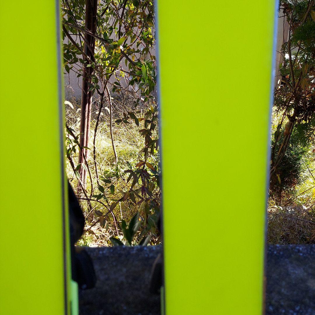 FISCHER RC4 SC スキー 165cm ブラック/イエロー