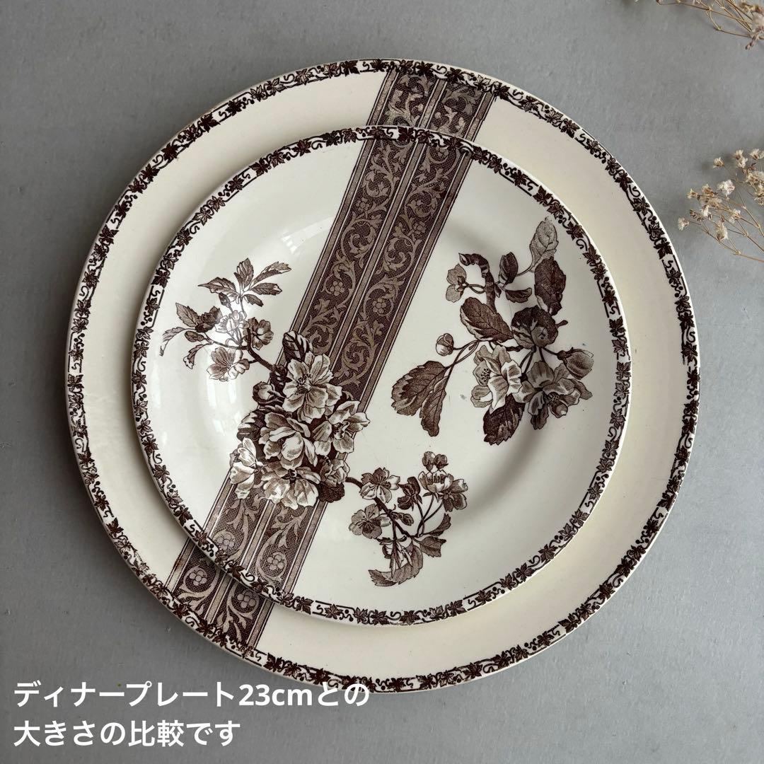 希少 大皿 フランス エミールブルジョワ セピア色のレースと花枝のプレート