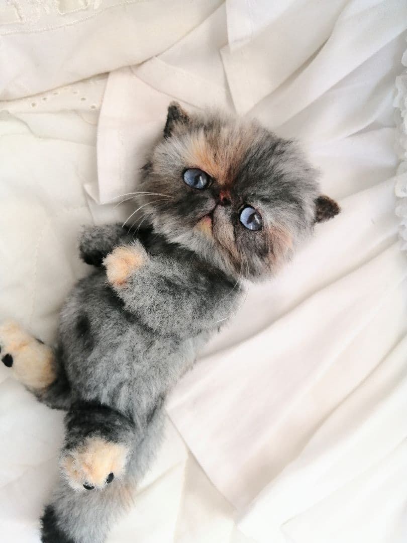 ちびのすけ☆彡様❤️オーダー♡猫ちゃん♡アートドール♡ぬいぐるみ♡