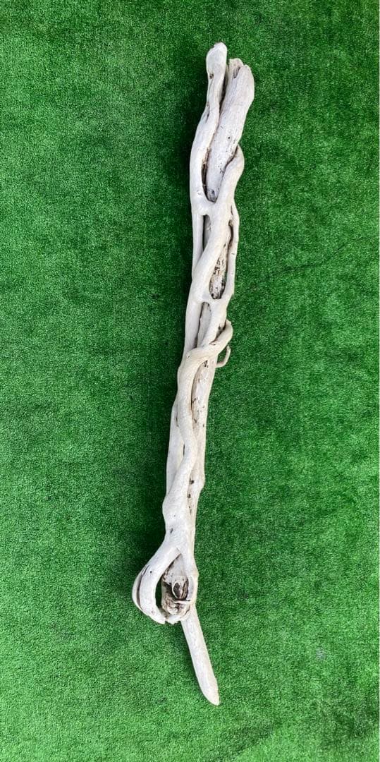 最高級　天然乾燥　流木　インテリア雑貨アクアリウム流木　1m越え　無薬　即日発送