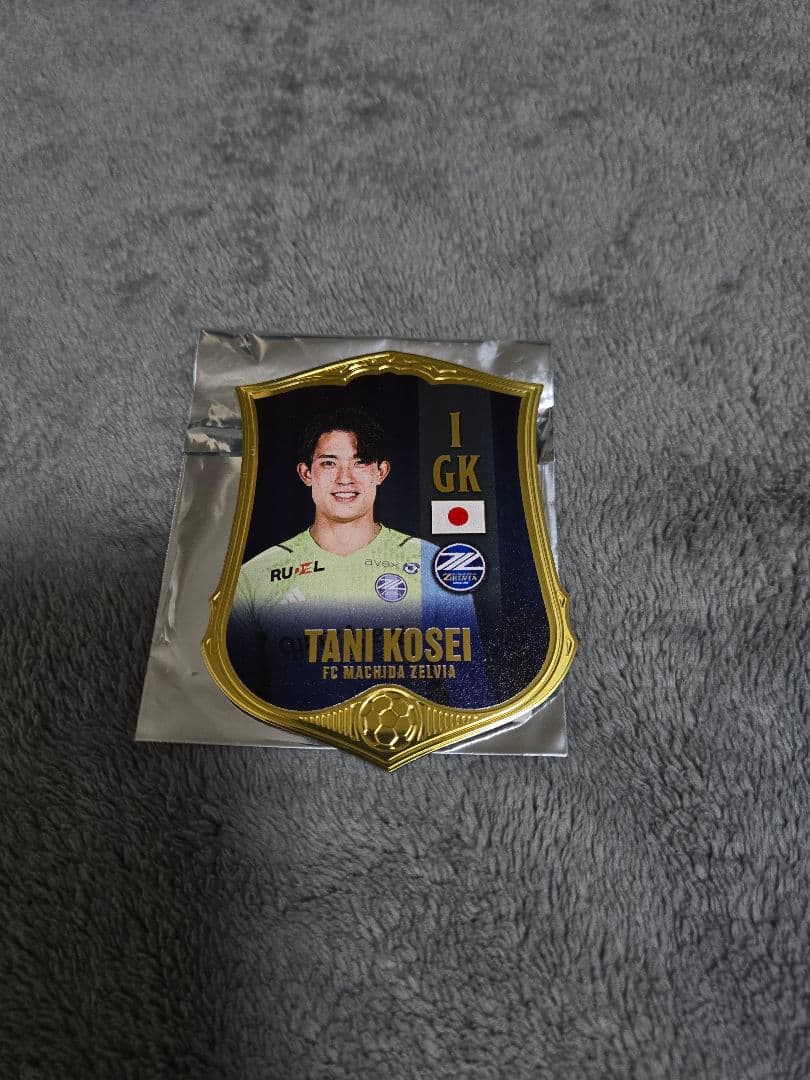 限定品 町田ゼルビア 谷晃生 直筆サイン入りグッズ ４点セット