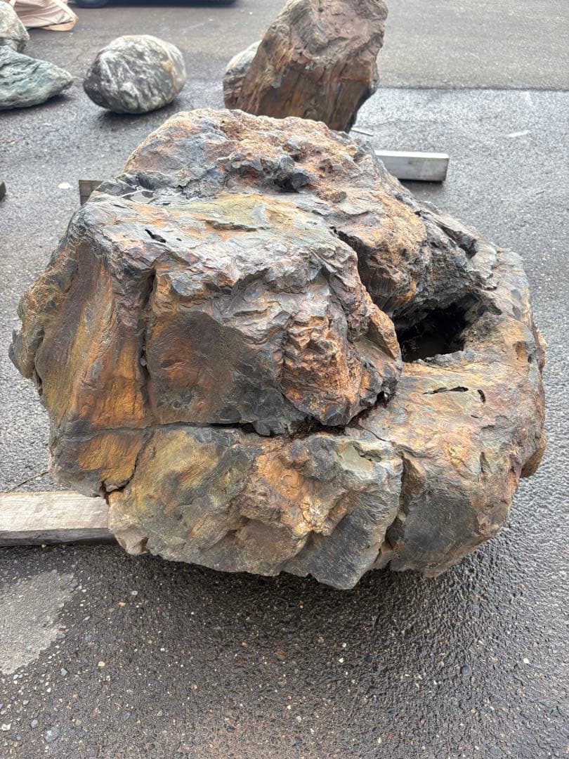 天然木化石 大型庭石 観賞石 オブジェ 90cm級