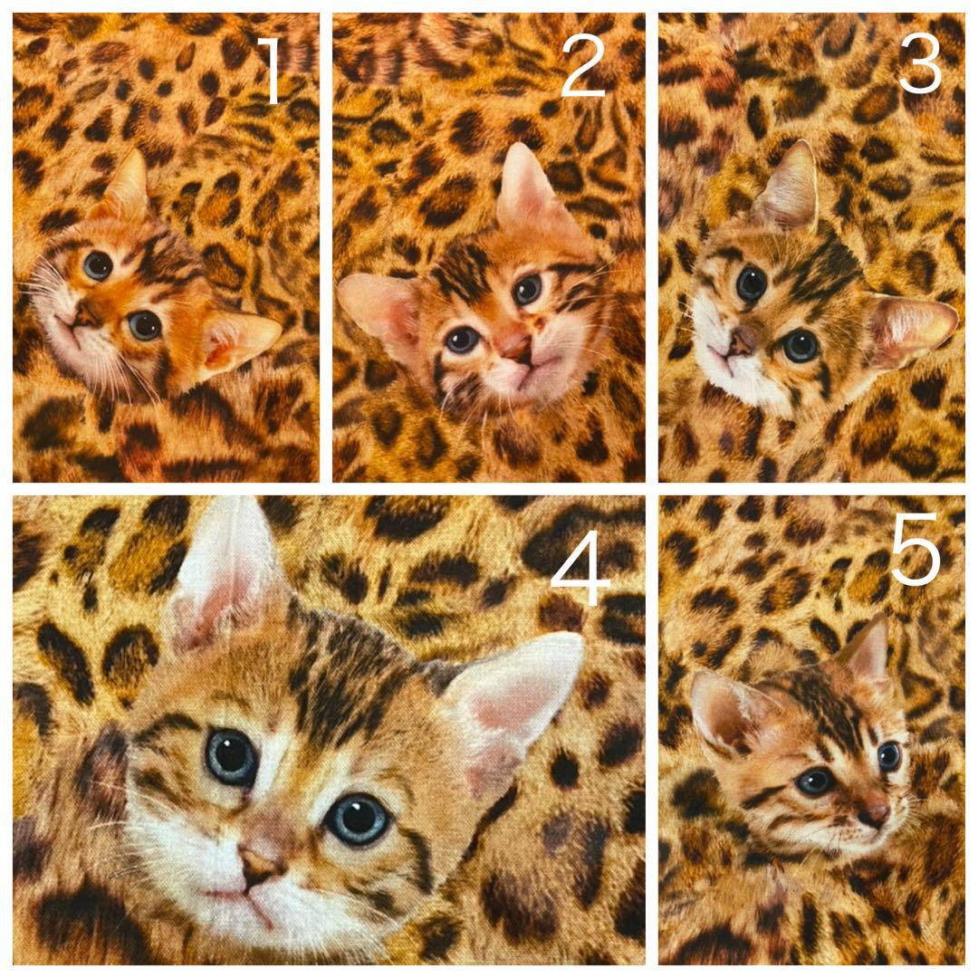 yuki様　お顔確認用です