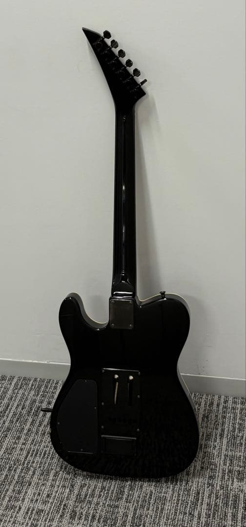 フェルナンデス TEJ-95S サスティナー9V