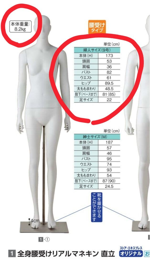 ディスプレイ用婦人マネキン　腰受け　ウィメンズ　直立　FRP　衣装展示　店舗