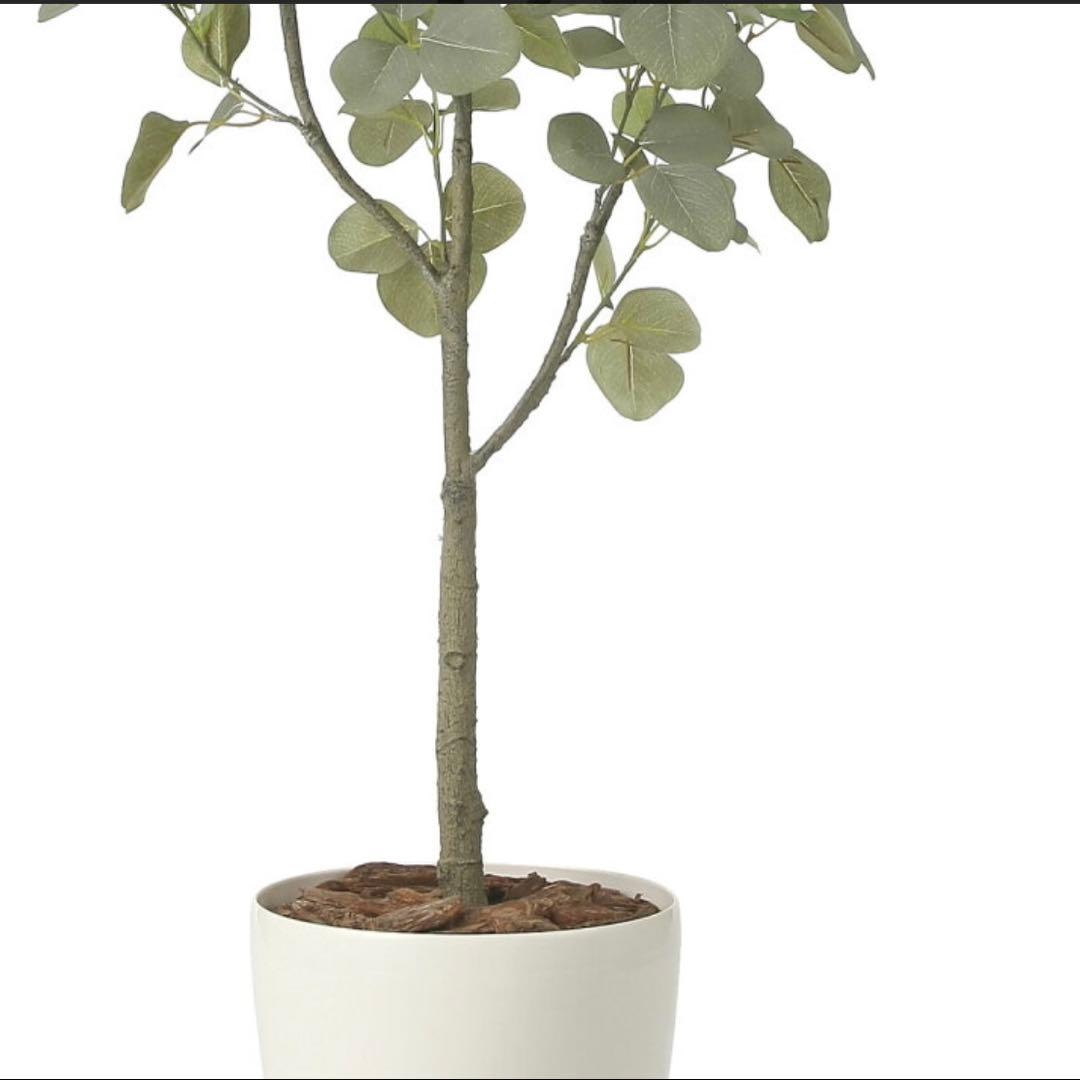 光触媒　人工観葉植物　ウォールグリーン　フェイクグリーン　ユーカリツリー1.35