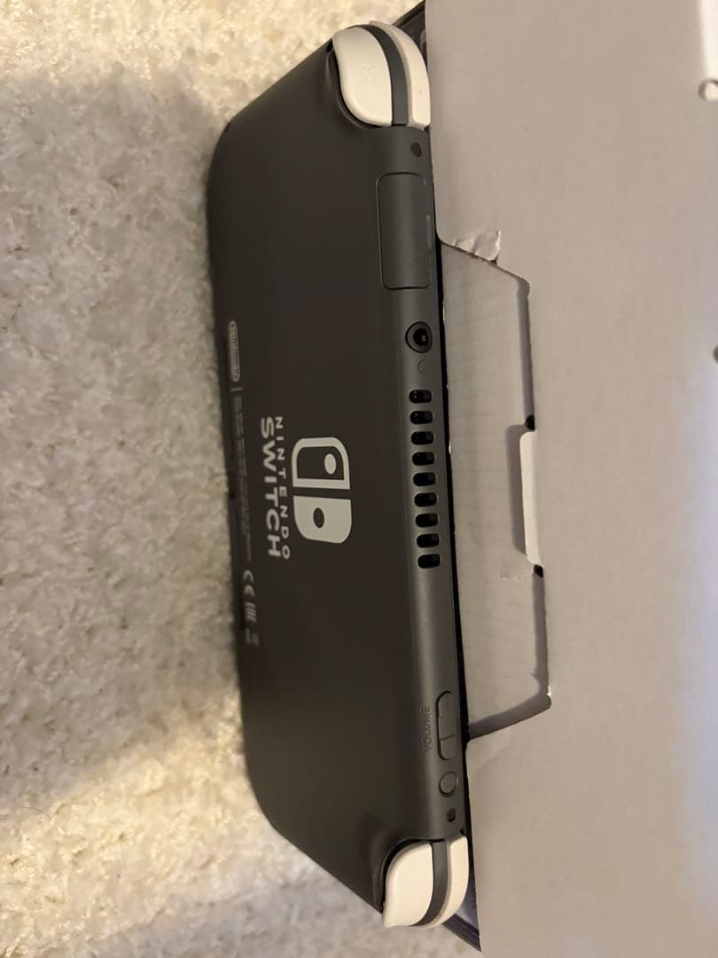 SDつきSwitchライト グレー