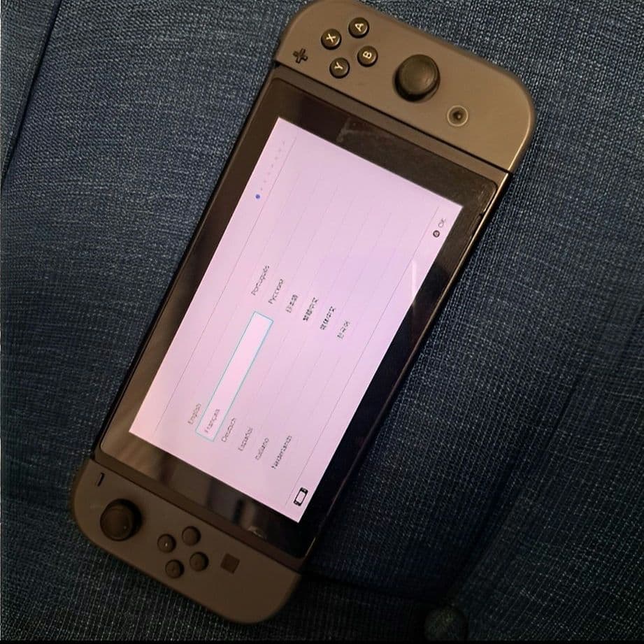 【プロコン、ケース、多数おまけ】Nintendo Switch 本体