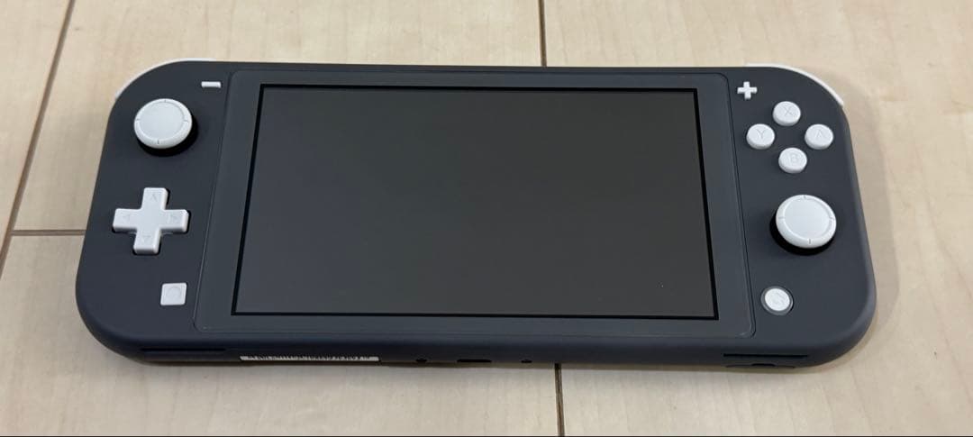 Nintendo Switch Lite グレー 収納ケース付き