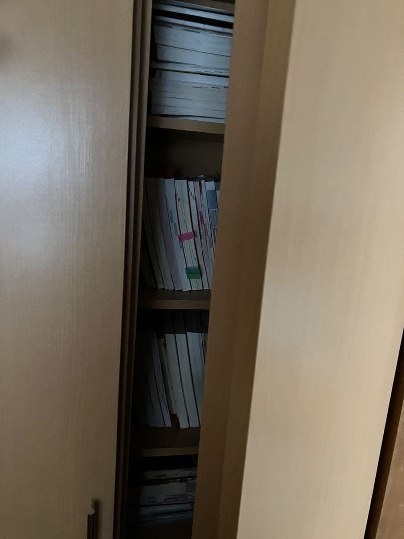 ナチュラル本棚 2扉 収納力抜群