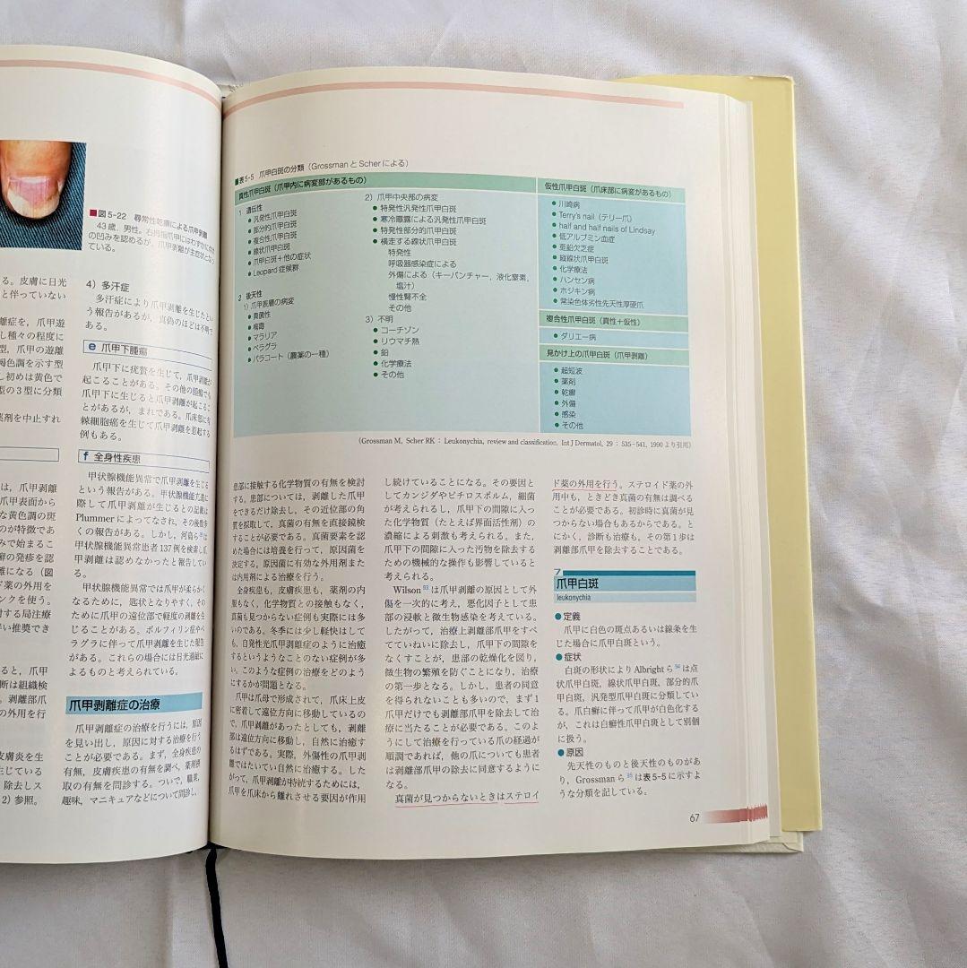 爪　基礎から臨床まで