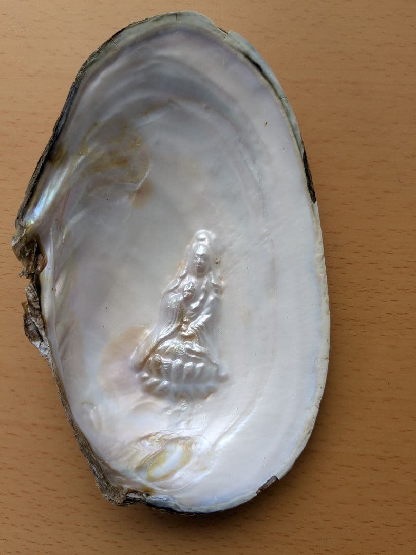 仏像真珠／淡水パール母貝 no.104