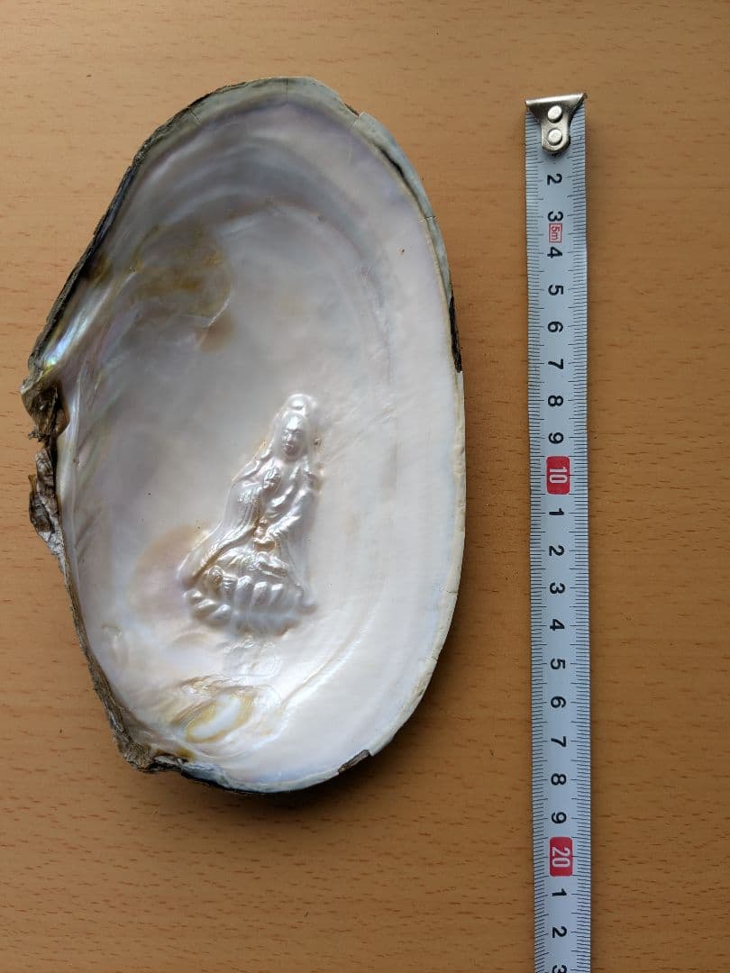 仏像真珠／淡水パール母貝 no.104