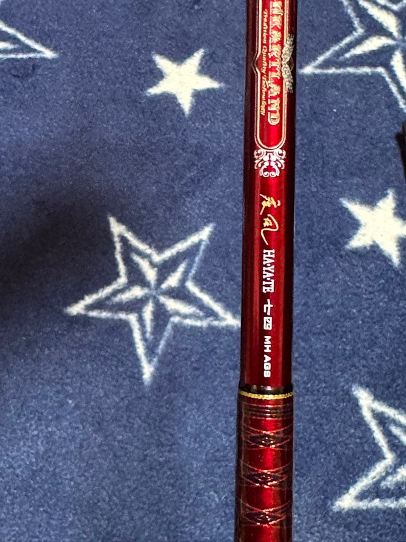 ダイワ　ハートランド　疾風74MH グリップカスタム