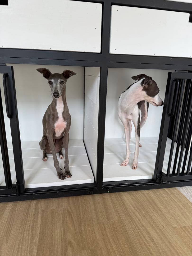 犬用ダブルケージ ハウス　クレート