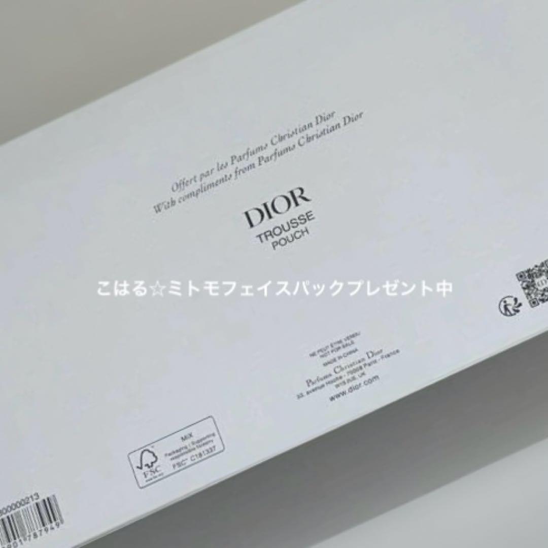 クリスチャンディオール VIP限定 ノベルティ ポーチ トラベル バック
