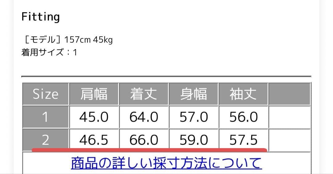 D*ん様 オーシバル リモンタナイロン ノーカラーダウンジャケット