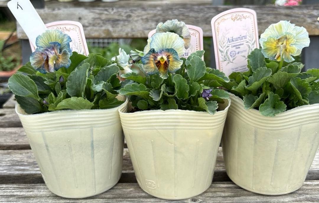 びおら様ご依頼品