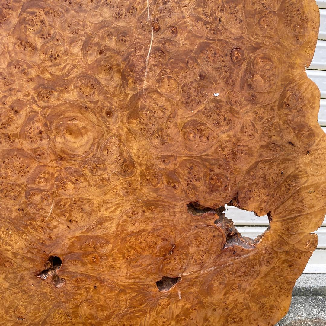 希少 玉杢 楓 瘤 衝立