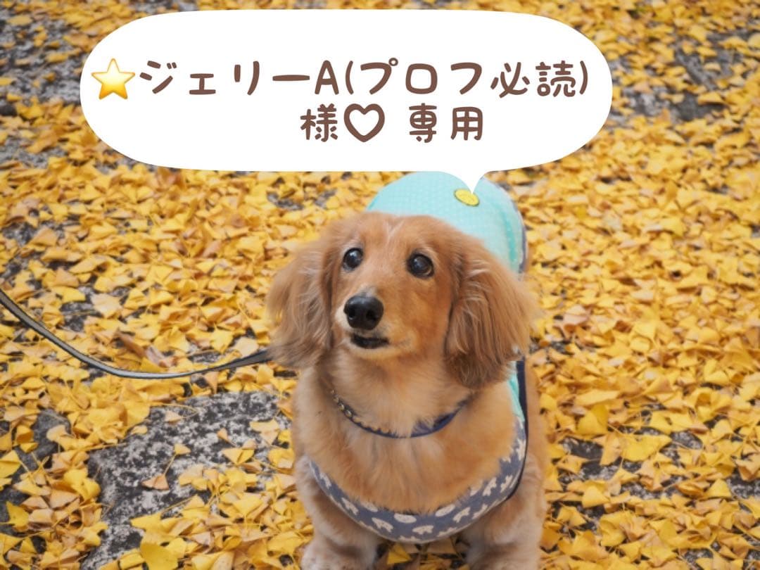 ⭐ジェリーA(プロフ必読)様♡専用