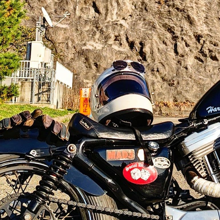 スポーツスター　Le Pera製　シート