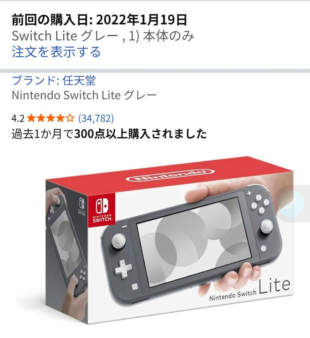 Nintendo Switch Lite グレー　ケース付き