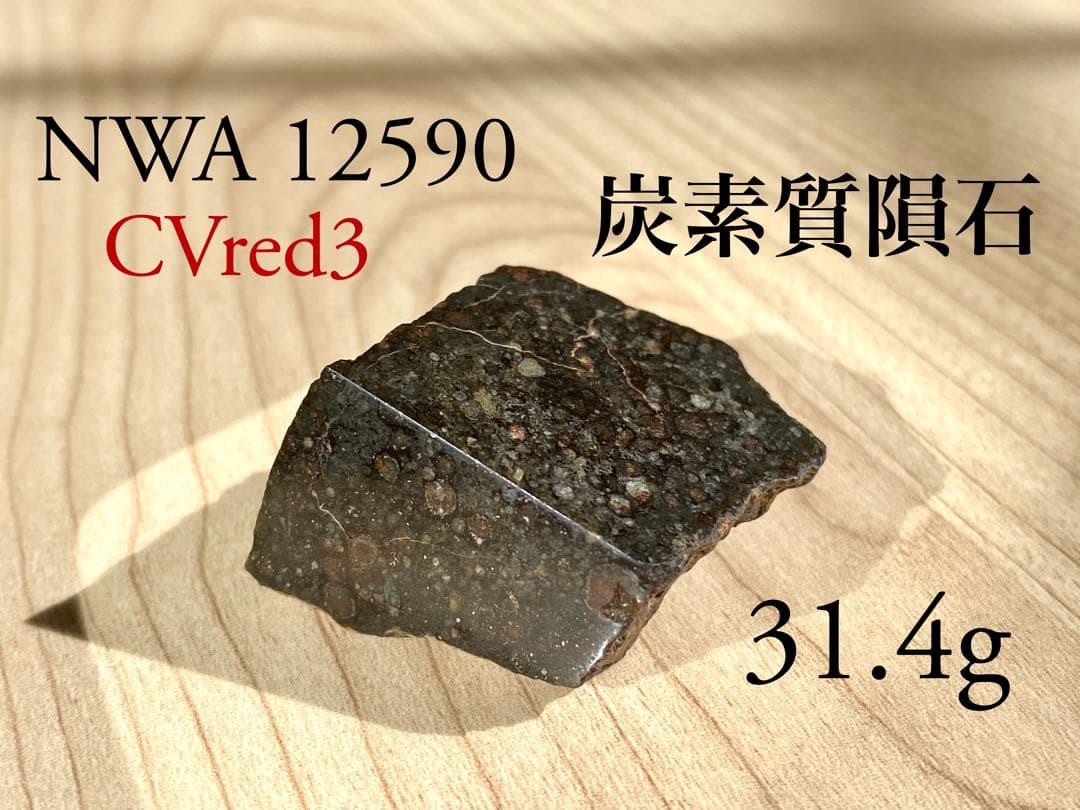 CVred3 炭素質 隕石 31.4g NWA12590 メテオライト 標本