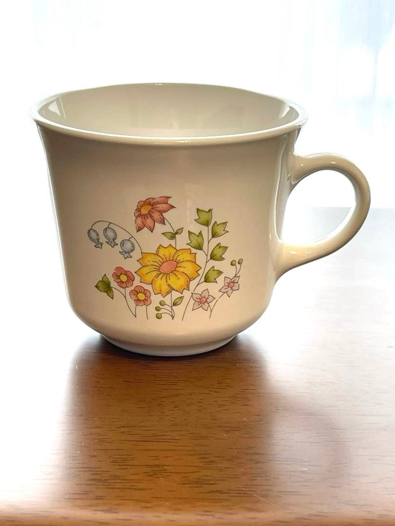 コレール コーニング製 メドウ(草原) 20ピースセット 【最終値下げ】