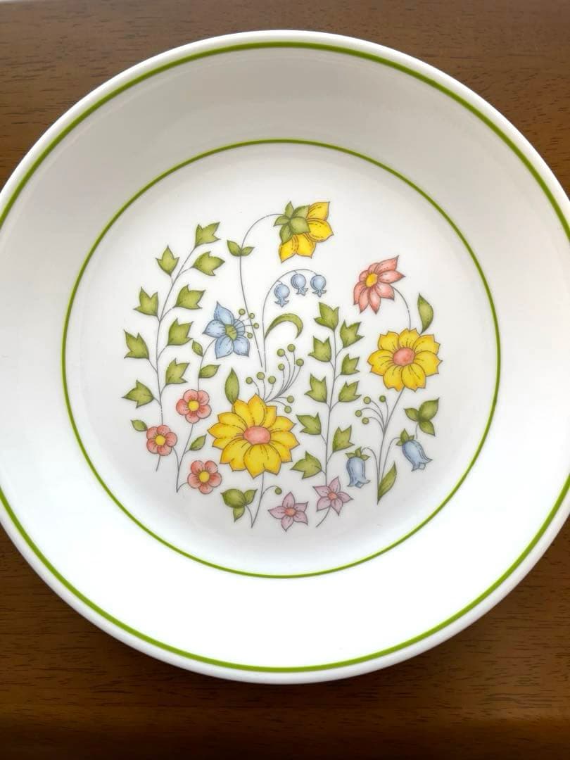 コレール コーニング製 メドウ(草原) 20ピースセット 【最終値下げ】