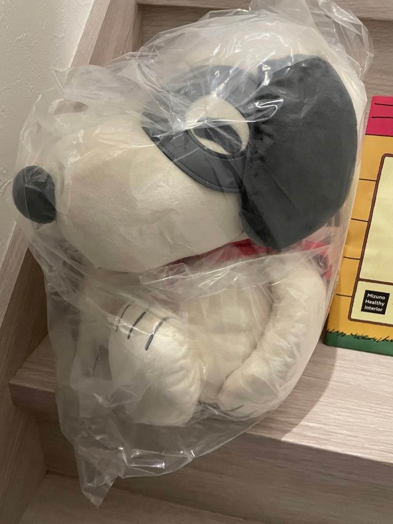 ⭐️新品未使用MIZUNO⭐️コラボ スヌーピー メディシンボール 2kg