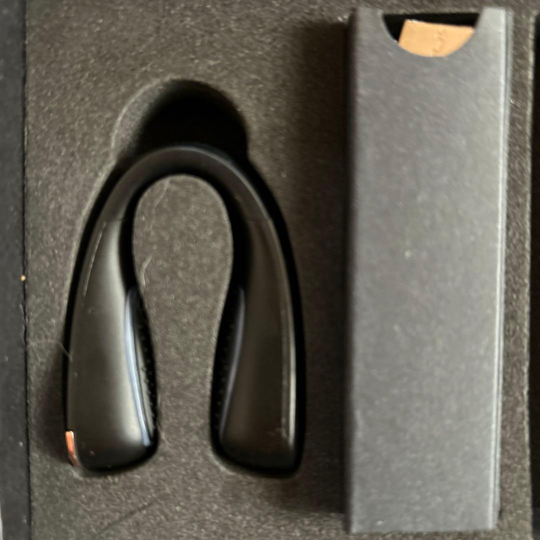 NIPLUX Q Nose EMS美顔器