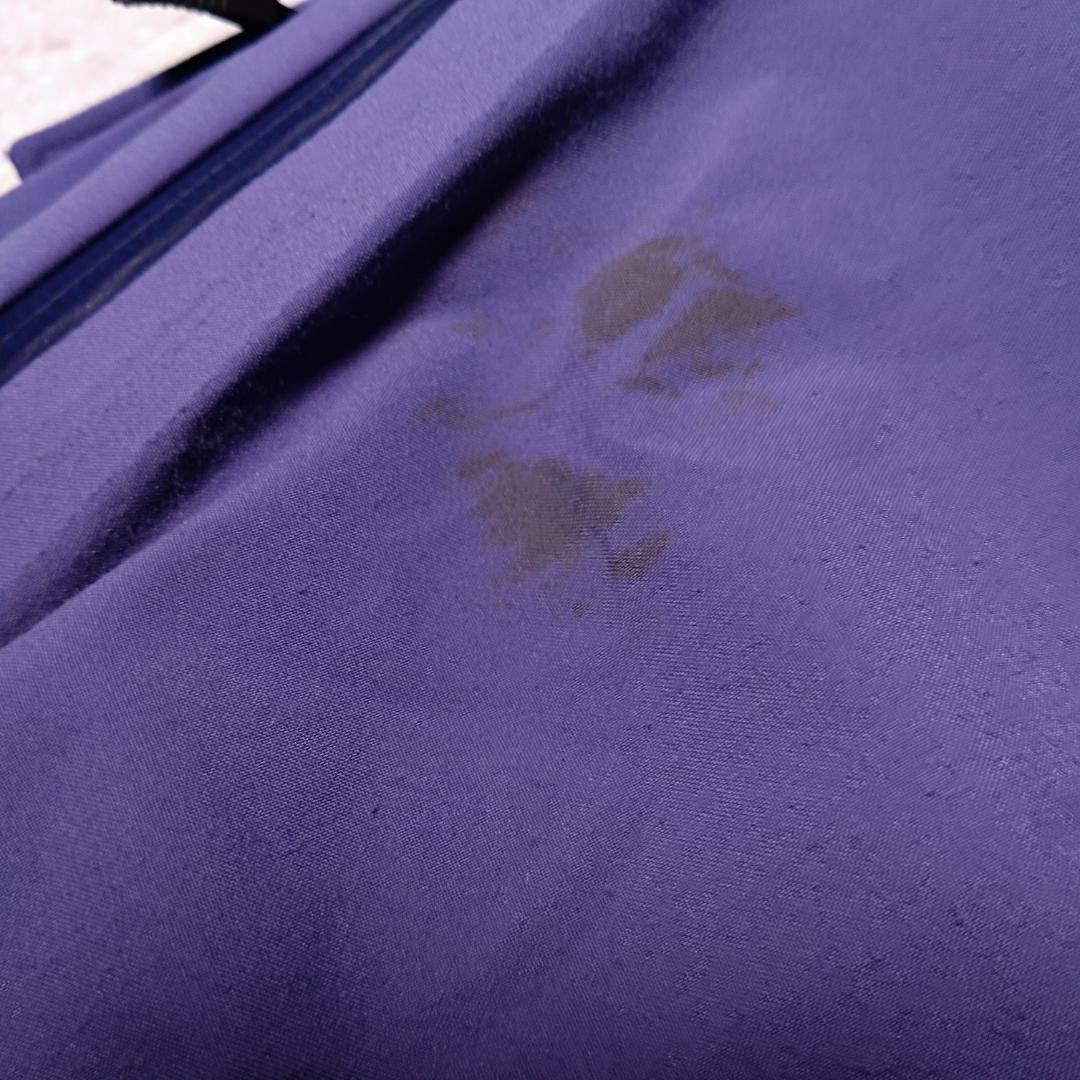 ノースフェイス　ヒューチャーライト　紫　ビブパンツ 　サミット　NS62304