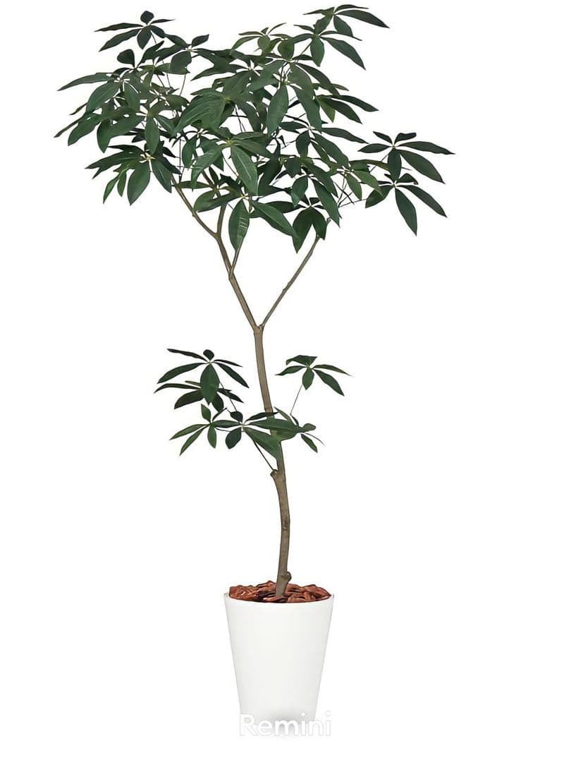 光触媒　人工観葉植物　ウォールグリーン　フェイクグリーン　パキラ150150