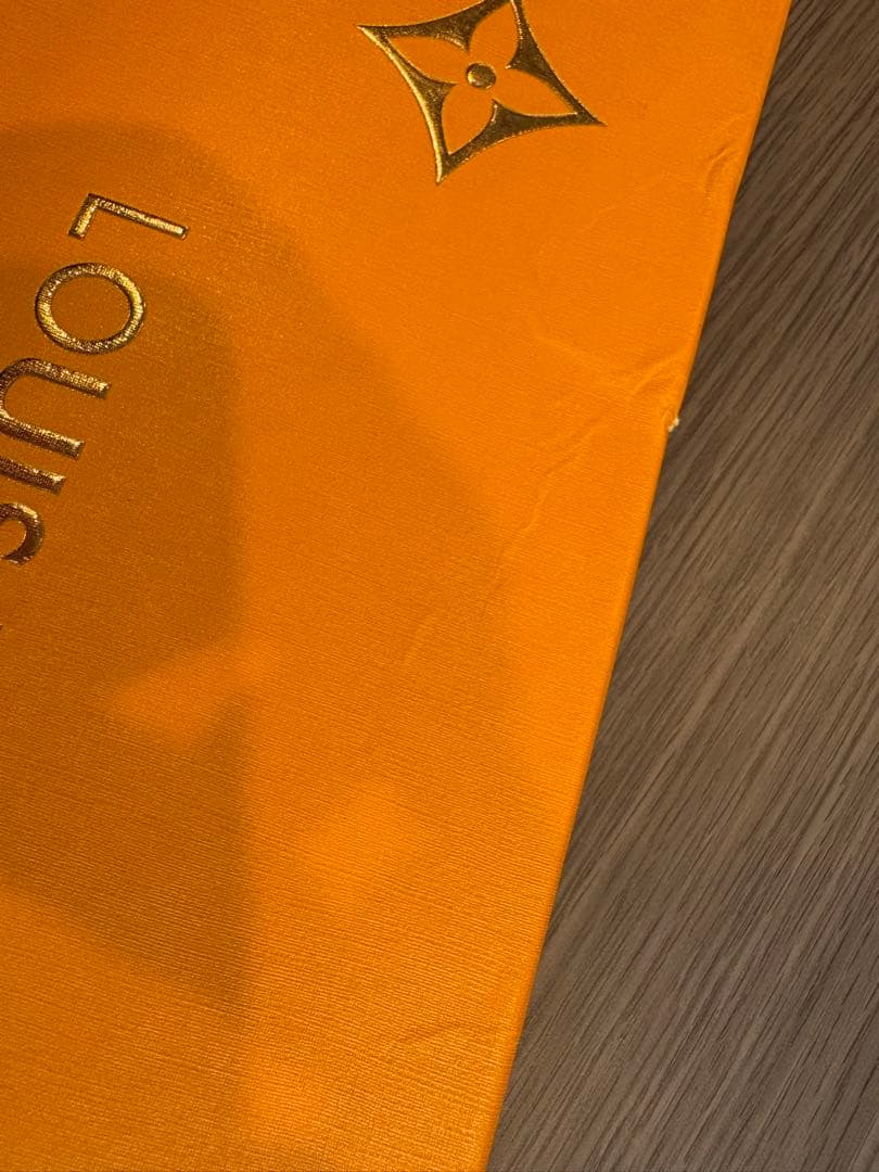 LOUIS VUITTON ワンピース水着