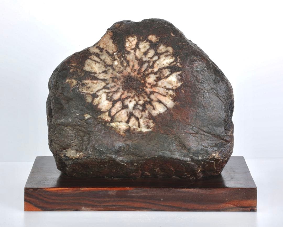 天然菊花石 大輪 台座付 大型8.5kg 鑑賞石 原石 水石 盆石 紋石 美石