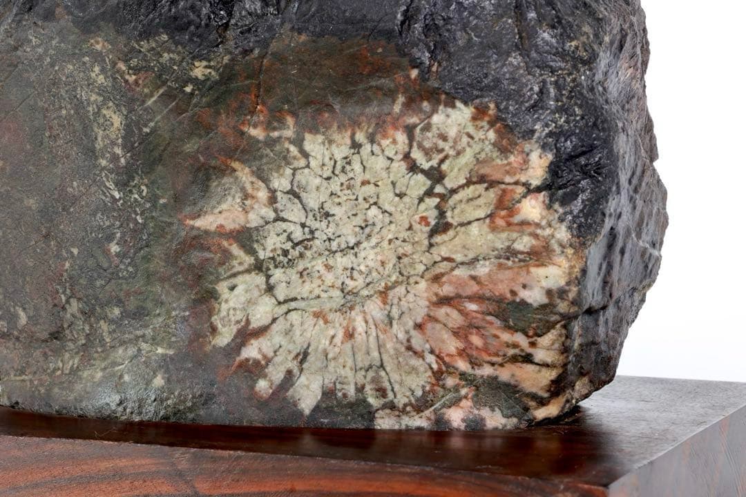 天然菊花石 大輪 台座付 大型8.5kg 鑑賞石 原石 水石 盆石 紋石 美石