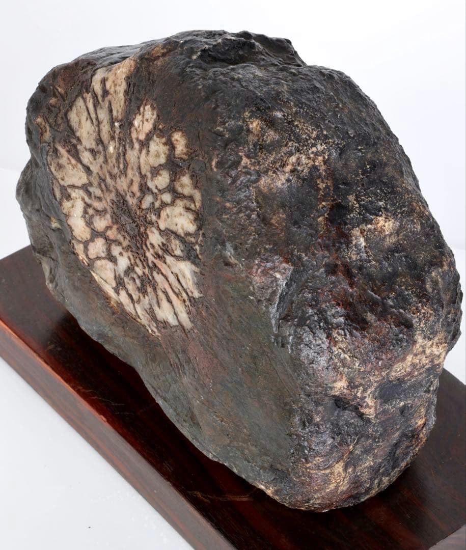 天然菊花石 大輪 台座付 大型8.5kg 鑑賞石 原石 水石 盆石 紋石 美石